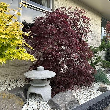The Airport Homestay House كريستتشيرش المظهر الخارجي الصورة